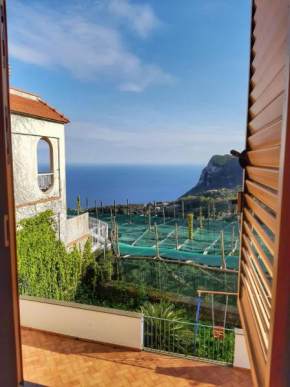Villa Mariel Suites & Apartment